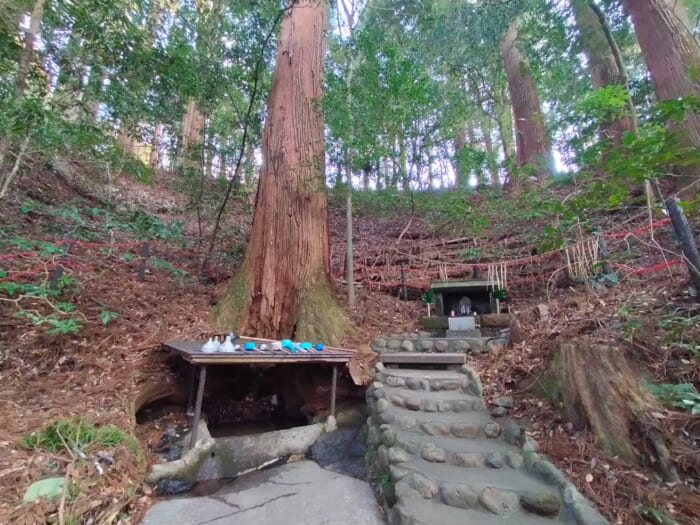 日本のルーツの地、高千穂―「天岩戸神社」の最強の浄化スポットを教えます