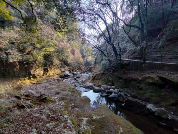 日本のルーツの地、高千穂―「天岩戸神社」の最強の浄化スポットを教えます