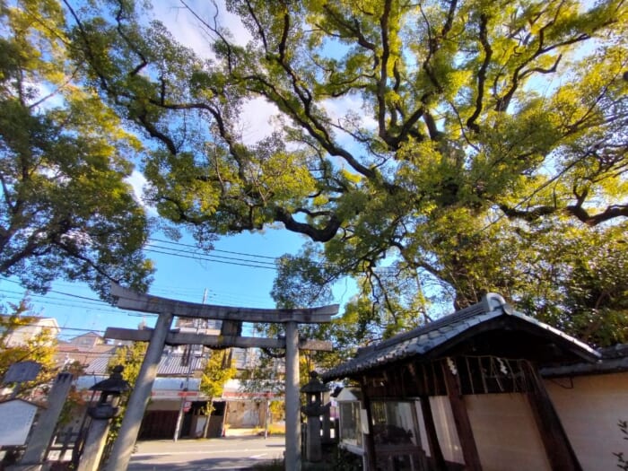 京都通が詣でるパワースポット「新熊野神社」を徹底解剖