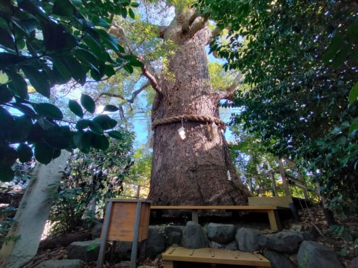 京都通が詣でるパワースポット「新熊野神社」を徹底解剖