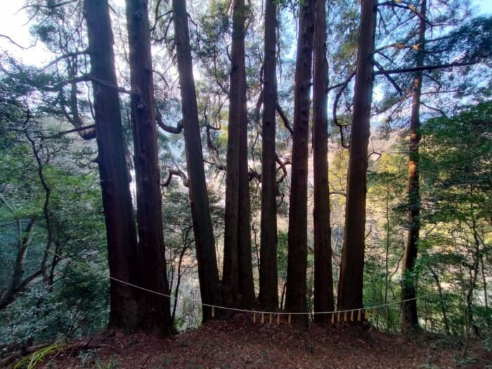 日本のルーツの地、高千穂―「天岩戸神社」の最強の浄化スポットを教えます