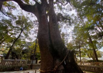 日本神話の原点―淡路島のパワースポット「伊弉諾神宮」を参拝してきた！