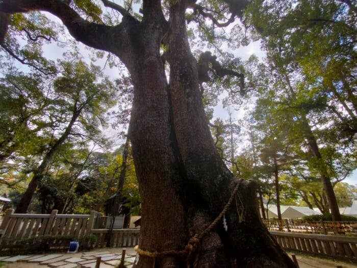 日本神話の原点―淡路島のパワースポット「伊弉諾神宮」を参拝してきた！