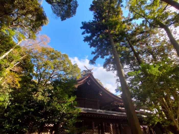 日本神話の原点―淡路島のパワースポット「伊弉諾神宮」を参拝してきた！