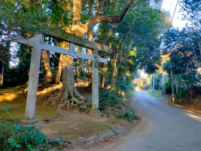 呼ばれないとたどりつけない！？ 鹿島の聖地―坂戸神社と国土神社