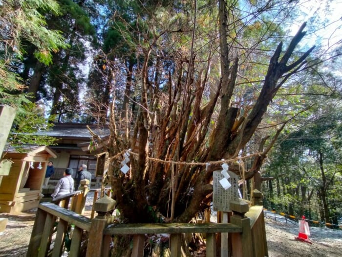 熊本にひっそり佇むスピリチュアルなパワースポット！「幣立神宮」と龍神のお社