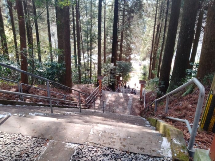 熊本にひっそり佇むスピリチュアルなパワースポット！「幣立神宮」と龍神のお社