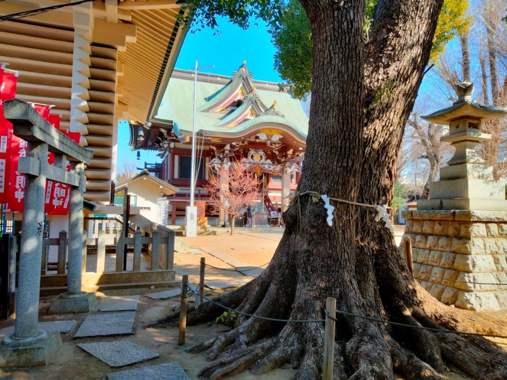 早稲田の異世界紀行―霊泉が湧く諏訪神社＆巳年に参拝必須玄国寺の弁財天