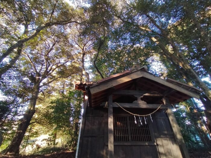 呼ばれないとたどりつけない！？ 鹿島の聖地―坂戸神社と国土神社