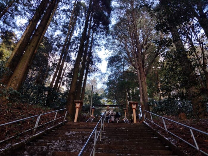 熊本にひっそり佇むスピリチュアルなパワースポット！「幣立神宮」と龍神のお社