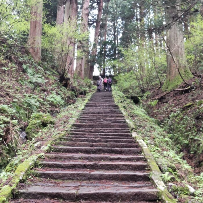 東北地方の国宝 神聖な空気が漂う羽黒山・五重塔は必見