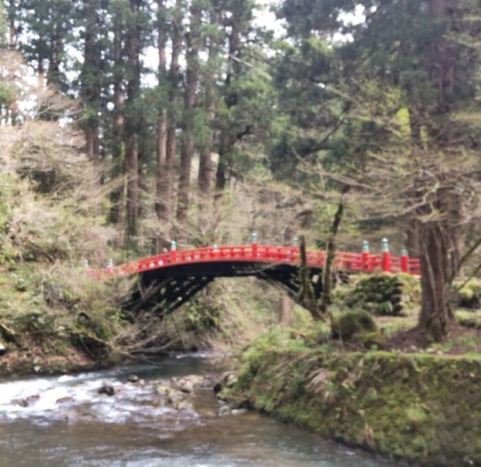 東北地方の国宝 神聖な空気が漂う羽黒山・五重塔は必見