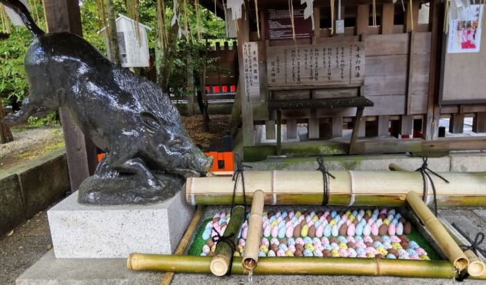 狛犬ならぬ狛イノシシが守る 護王神社は足腰にご利益あり! 足腰祈願をしてたくさん旅に出かけよう!