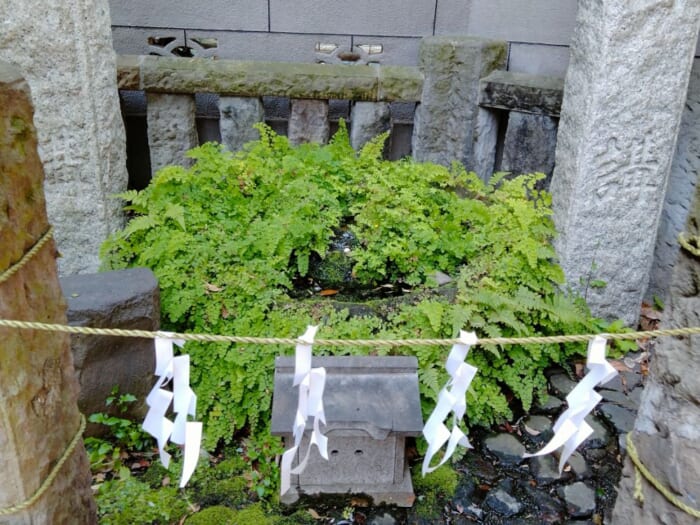 スーパーに霊水!? 田園調布の隣町に鎮座するパワースポット―御嶽の霊水と御嶽神社