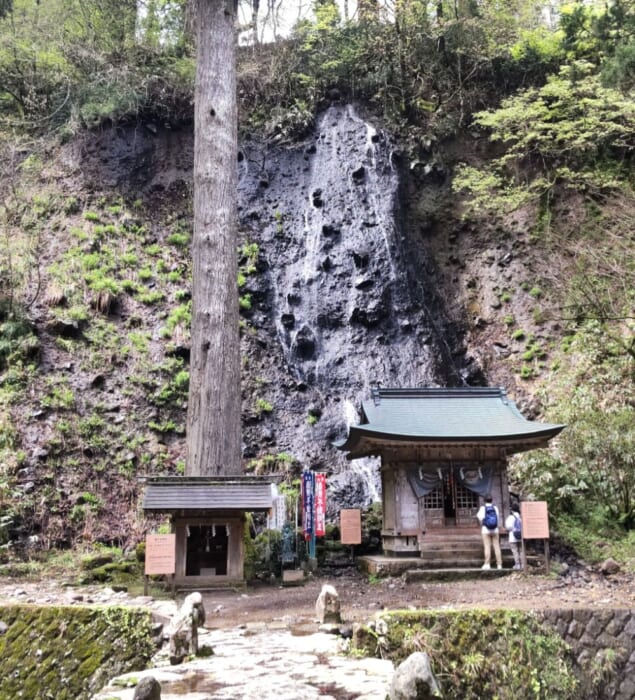 東北地方の国宝 神聖な空気が漂う羽黒山・五重塔は必見