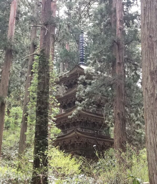 東北地方の国宝 神聖な空気が漂う羽黒山・五重塔は必見