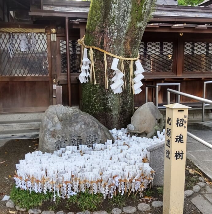 狛犬ならぬ狛イノシシが守る 護王神社は足腰にご利益あり! 足腰祈願をしてたくさん旅に出かけよう!