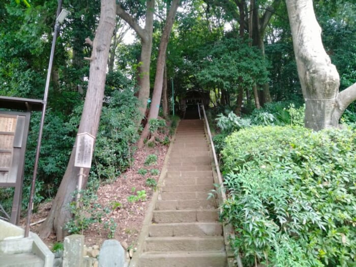 巳年にオススメ!中央線沿線の縄文の森と湧水に守られた弁財天二社―「貫井弁財天」&「下弁財」