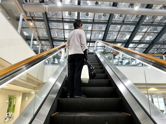 たまにはのんびり船旅なんていかが? 新日本海フェリーで小樽~新潟間を移動してみた