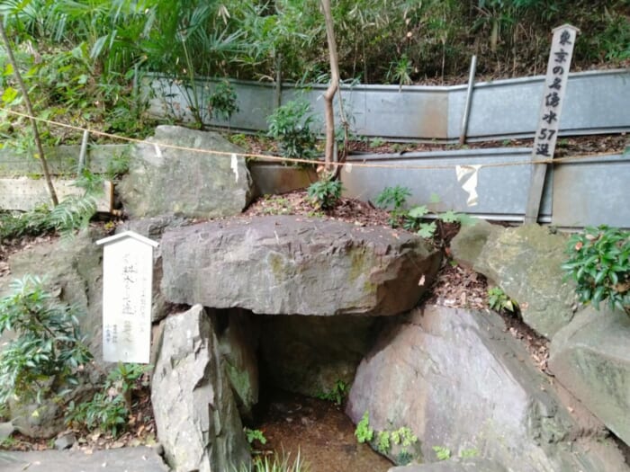巳年にオススメ!中央線沿線の縄文の森と湧水に守られた弁財天二社―「貫井弁財天」&「下弁財」