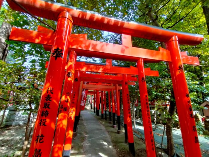 田無神社だけじゃない! 西武線沿線の知られざる開運スポット―東伏見稲荷神社&真姿弁財天