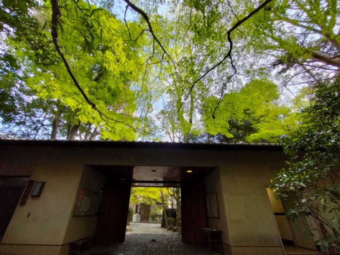 巳年にオススメ!中央線沿線の縄文の森と湧水に守られた弁財天二社―「貫井弁財天」&「下弁財」