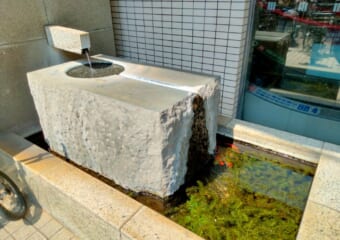 スーパーに霊水！？ 田園調布の隣町に鎮座するパワースポット―御嶽の霊水と御嶽神社