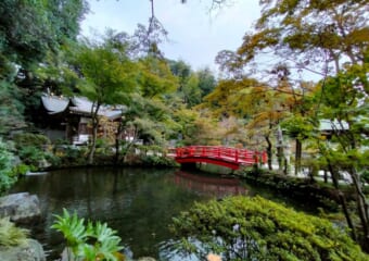 巳年にオススメ！中央線沿線の縄文の森と湧水に守られた弁財天二社―「貫井弁財天」&「下弁財」