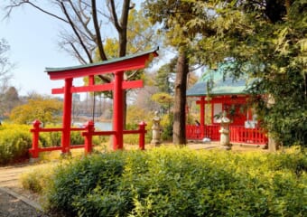 行列ができるパワースポット・蛇窪神社だけじゃない！ 東京の穴場弁財天―清水窪弁財天＆洗足池厳島神社