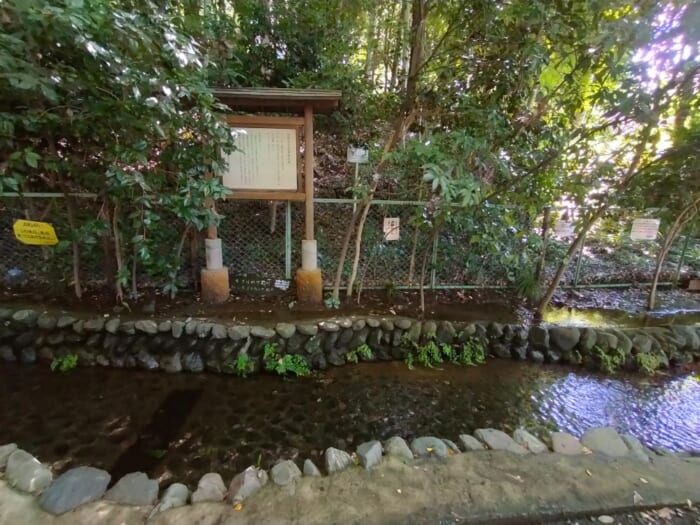 田無神社だけじゃない! 西武線沿線の知られざる開運スポット―東伏見稲荷神社&真姿弁財天
