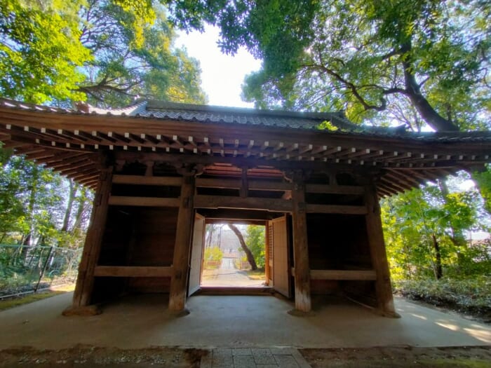 巳年にオススメ!中央線沿線の縄文の森と湧水に守られた弁財天二社―「貫井弁財天」&「下弁財」