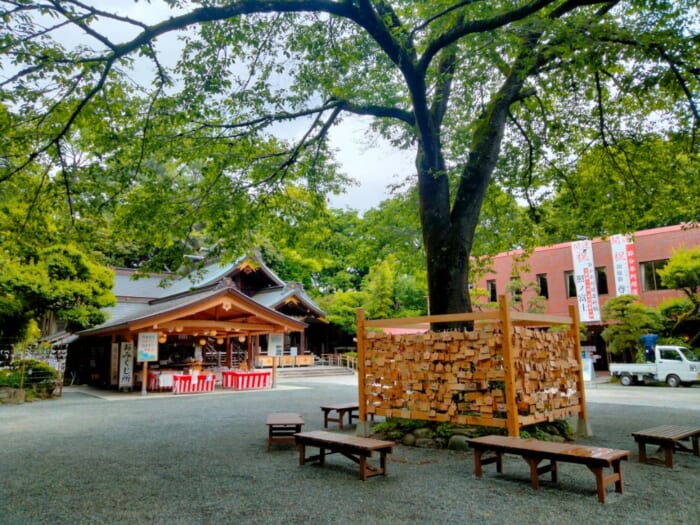 「関東のいづもさん」出雲大社相模分祀は本家に負けないパワースポットだった