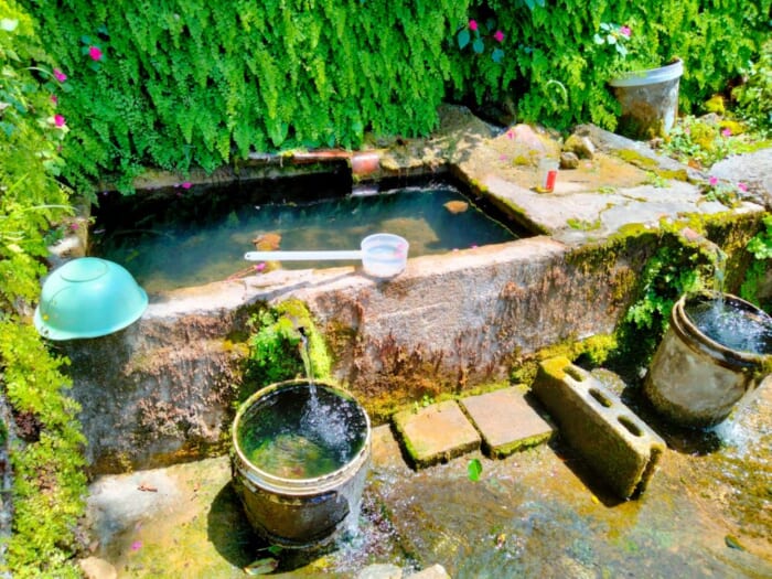 観光客が知らない沖縄のパワースポット―那覇の「天久」に鎮座する4つの龍神の聖地