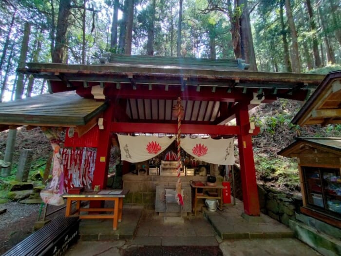 小田原から30分で行ける超穴場! 天狗のパワースポット―最乗寺