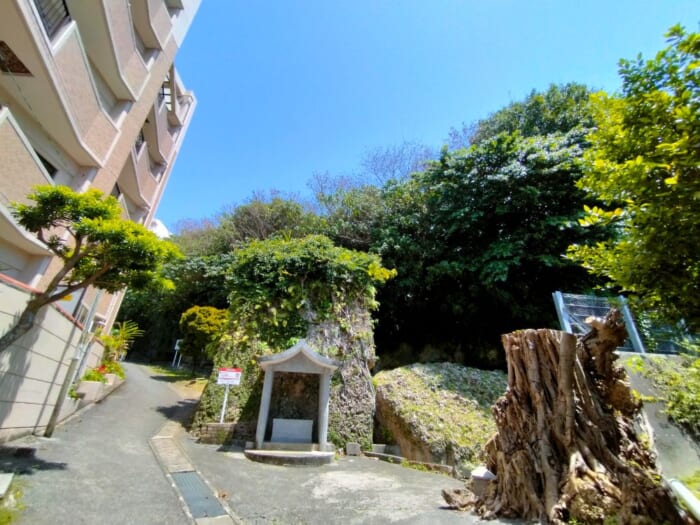 観光客が知らない沖縄のパワースポット―那覇の「天久」に鎮座する4つの龍神の聖地