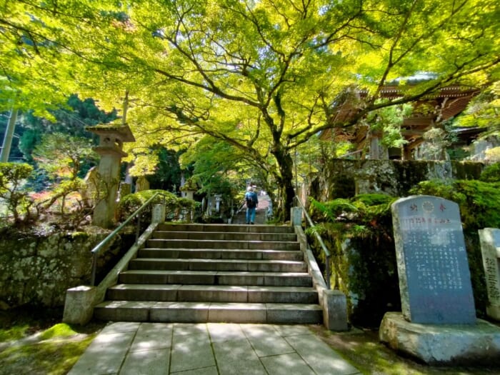 小田原から30分で行ける超穴場! 天狗のパワースポット―最乗寺