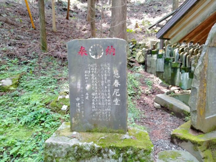 小田原から30分で行ける超穴場! 天狗のパワースポット―最乗寺