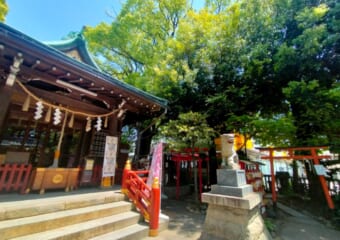 関東の隠れた聖地！ 安倍晴明の結界が張られた「五方山熊野神社」で運気爆上げしよう