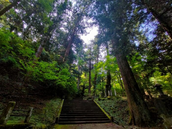 小田原から30分で行ける超穴場! 天狗のパワースポット―最乗寺
