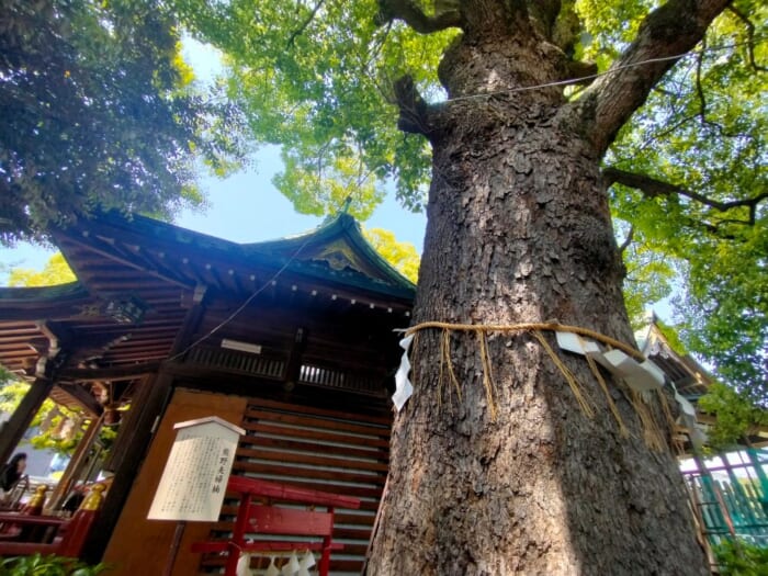 関東の隠れた聖地! 安倍晴明の結界が張られた「五方山熊野神社」で運気爆上げしよう