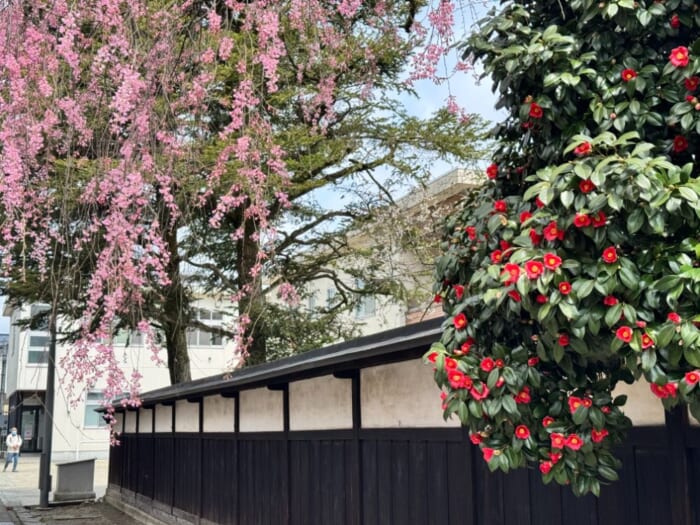 調味料から秋田名物までたっぷり楽しめる！ 秋田・角館にある老舗醸造所「安藤醸造」に注目