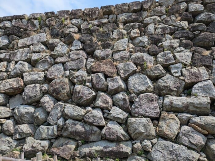 江戸時代の石垣が残る富山城では400年の歴史が学べます