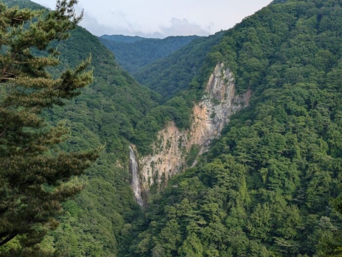 志賀高原から草津温泉までの絶景街道 国道最高地点を通る自然を満喫できる夏のおすすめドライブコース