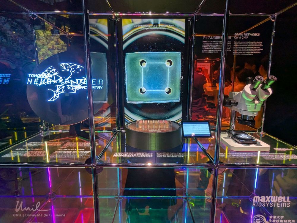 万博・スイスパビリオンのもう一歩深い楽しみ方…企画展で触れるスイスの最先端技術