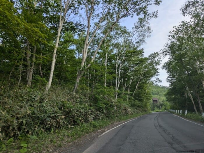 志賀高原から草津温泉までの絶景街道 国道最高地点を通る自然を満喫できる夏のおすすめドライブコース