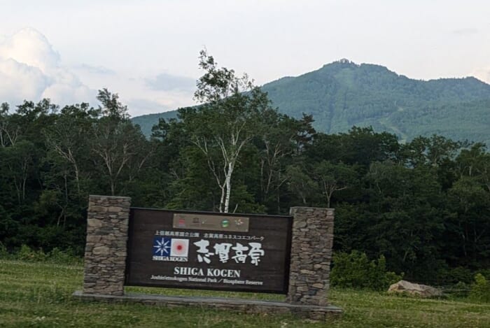 志賀高原から草津温泉までの絶景街道 国道最高地点を通る自然を満喫できる夏のおすすめドライブコース
