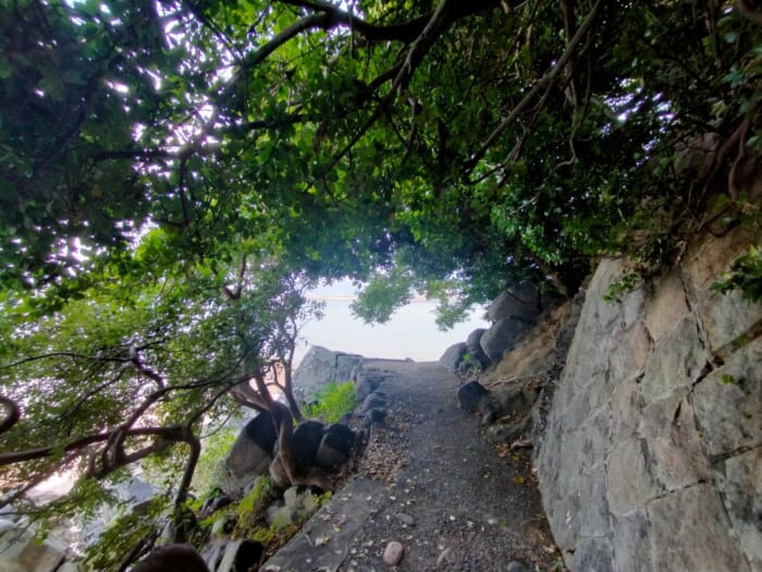 海に浮かぶ神秘の島のパワースポット―八百富神社の弁財天に開運祈願をしよう！