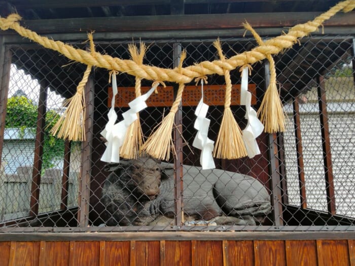 アートの町松本を守り続けてきた開運！ 2大パワースポット―四柱神社と深志神社