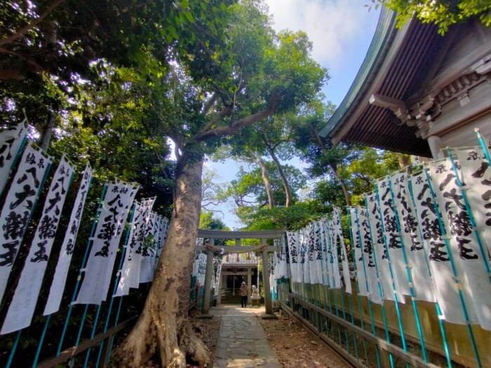 海に浮かぶ神秘の島のパワースポット―八百富神社の弁財天に開運祈願をしよう！