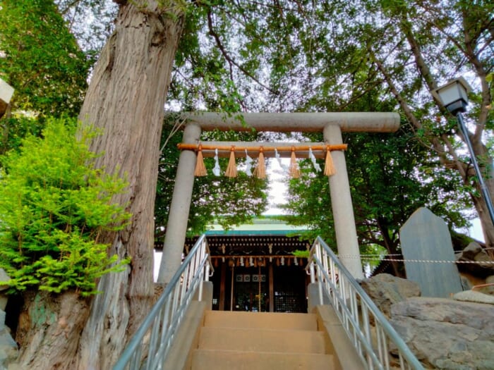 池袋で「美」と「縁」を結ぶ三社巡りで運気UP―くまくま神社・池袋氷川神社・子易神社